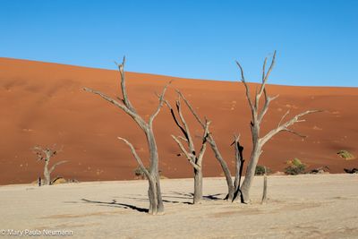 Deadvlei