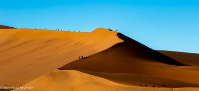 dune walking