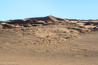 Fairy circles