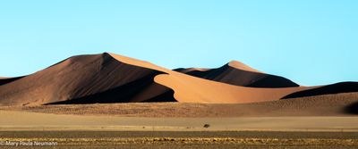 Big Daddy Dune