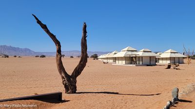 Dead Valley Lodge