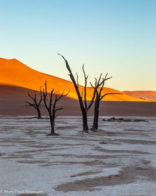 Deadvlei salt pan and dunes