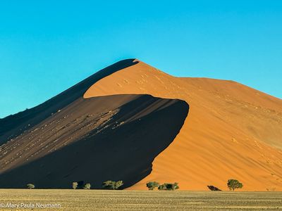 Dune 45