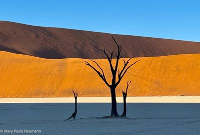 Deadvlei
