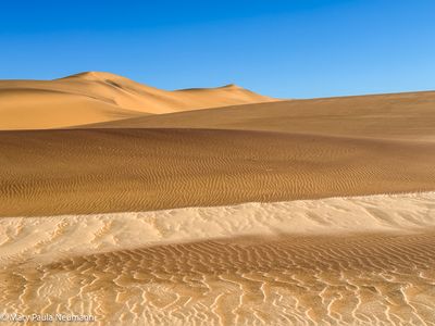 desert tour near Swakopmund