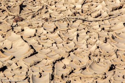 dry river bed