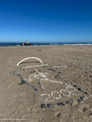 Skeleton Coast