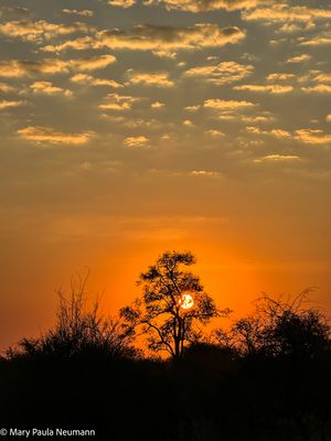 sunrise