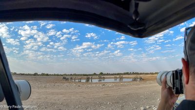 observing from jeep
