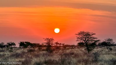 sunset in Okojkima