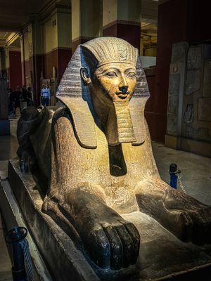 IMG_2376.jpg