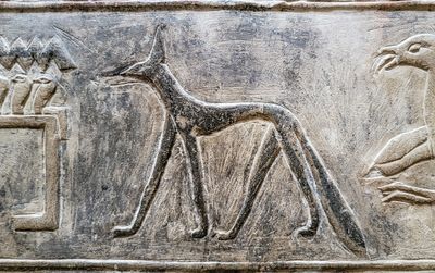 carving of Anubis in tomb at Saqqara
