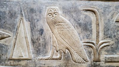 carving in tomb at Saqqara