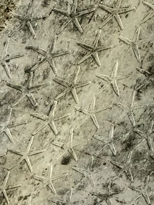 Ceiling of tomb at Step Pyramid