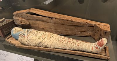 mummy with coffin