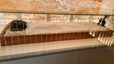 King Tut's mummy