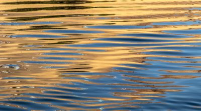 reflections on the Nile