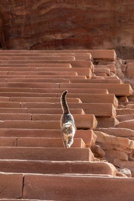 Petra
