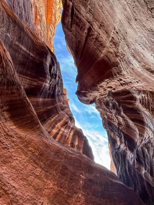 Petra