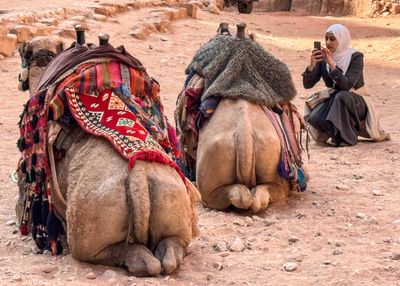 Petra