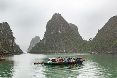 g13/53/1115353/3/175423636.de1526f3.JPEG