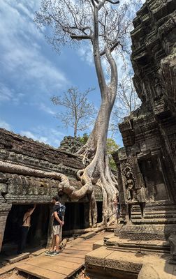 Ta Prohm