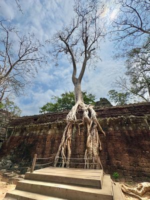 Ta Prohm