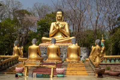Buddha gardens