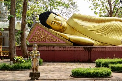 Buddha gardens
