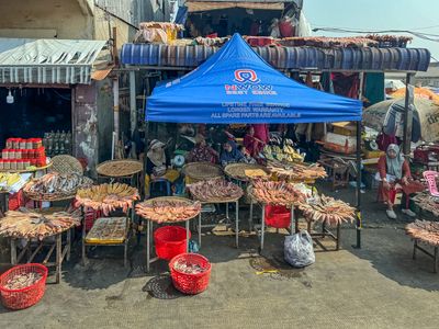 Muslim fish market along Mekong River