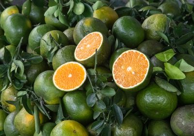 oranges with green rinds