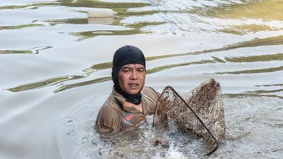 fisherman