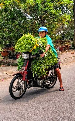 hauling crops