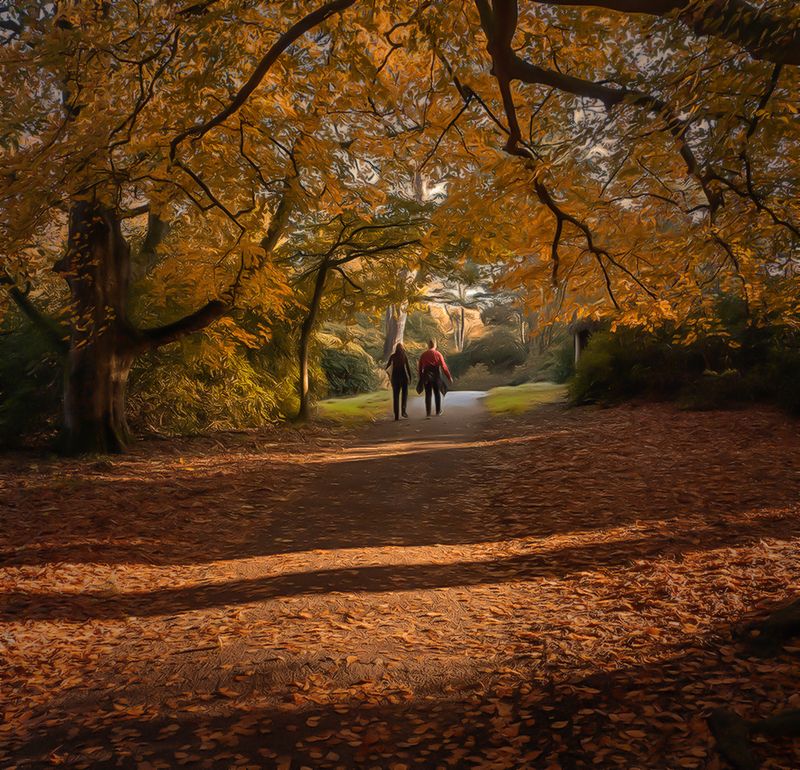 a autumn walk.jpg