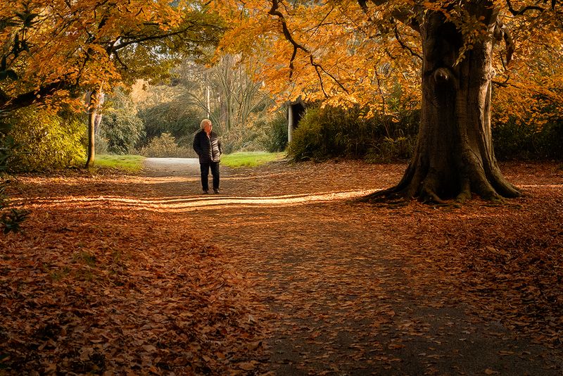 a walk in Autumn.jpg