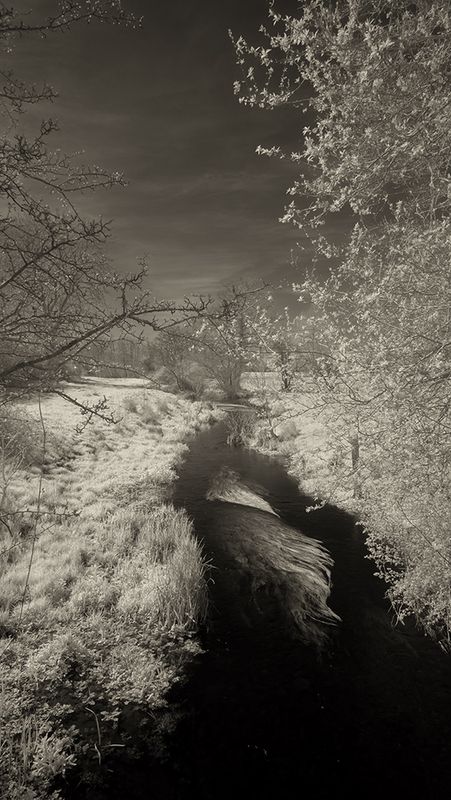 a the brook in winter.jpg
