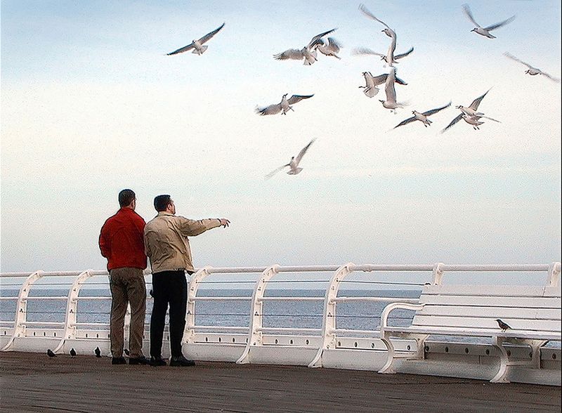 Photo of People feeding the birds on Cromer pier.