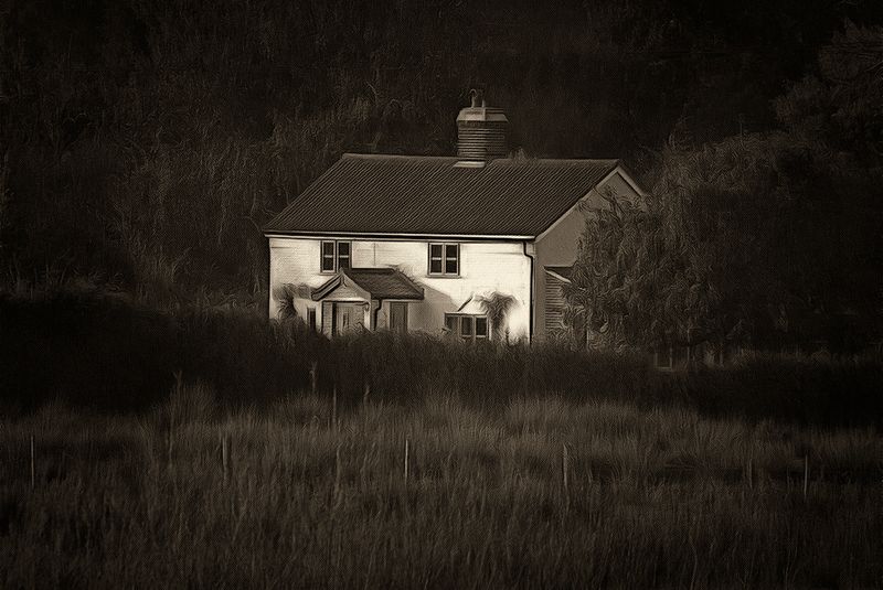 a the house on the marsh.jpg