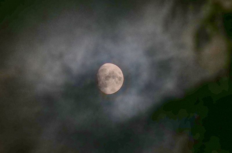 moon in the mist..jpg