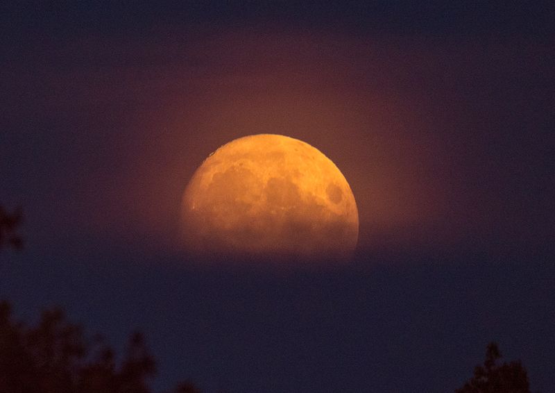 orange moon rising.jpg