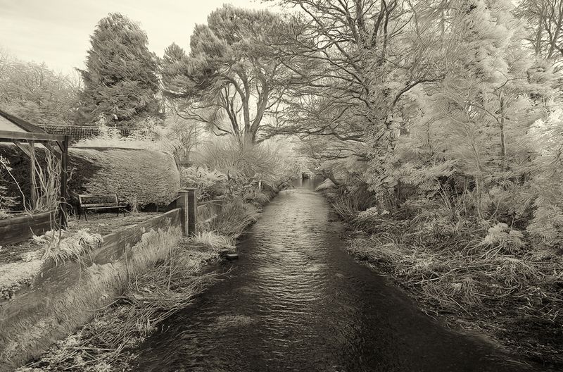 the enchanted stream at the bottom of the gardens.jpg