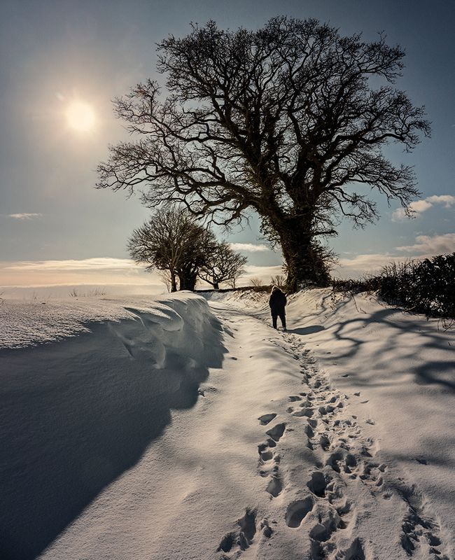 A Winter Walk..jpg