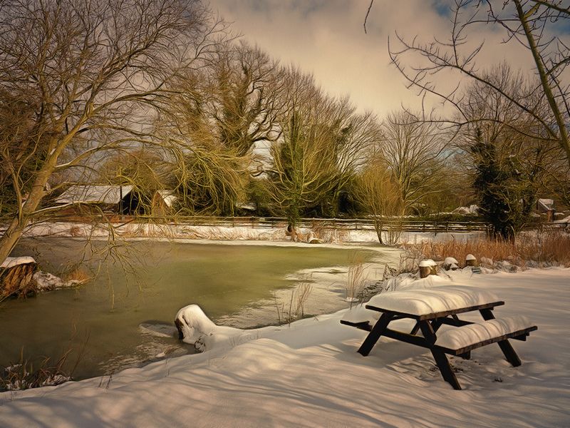 Our village pond in Winter..jpg