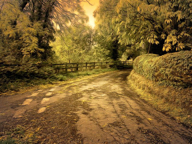 Country lane Partial Infrared.jpg