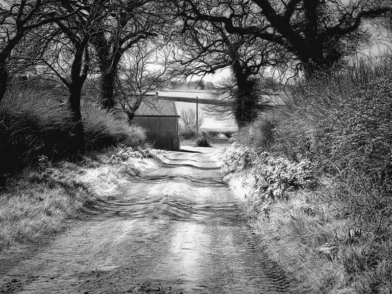 country lane.jpg