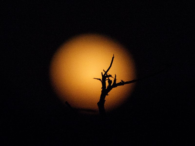 Moon Rising.jpg