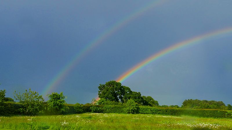 Rainbow no 1.jpg
