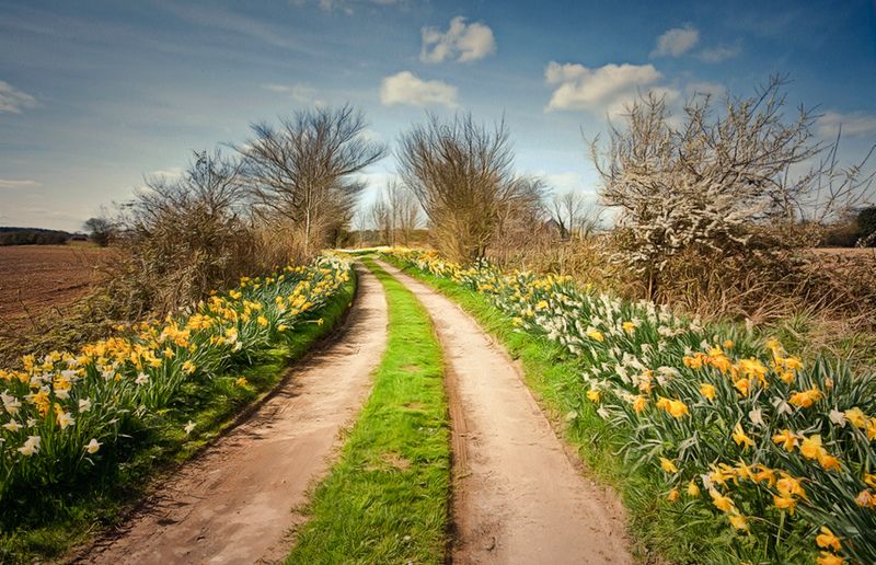 spring.jpg