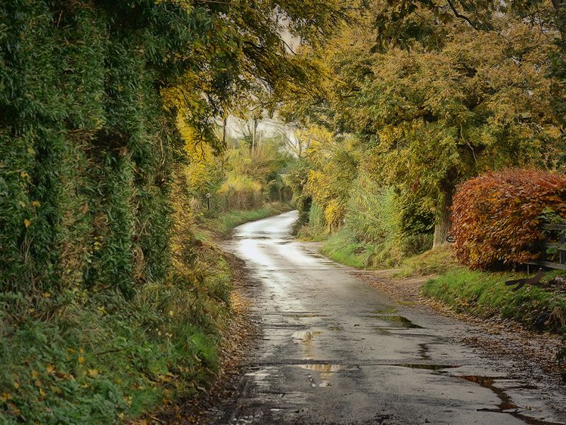 village walk.jpg