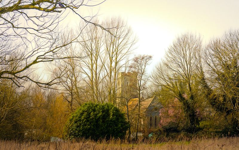 The Church in the Woods..jpg